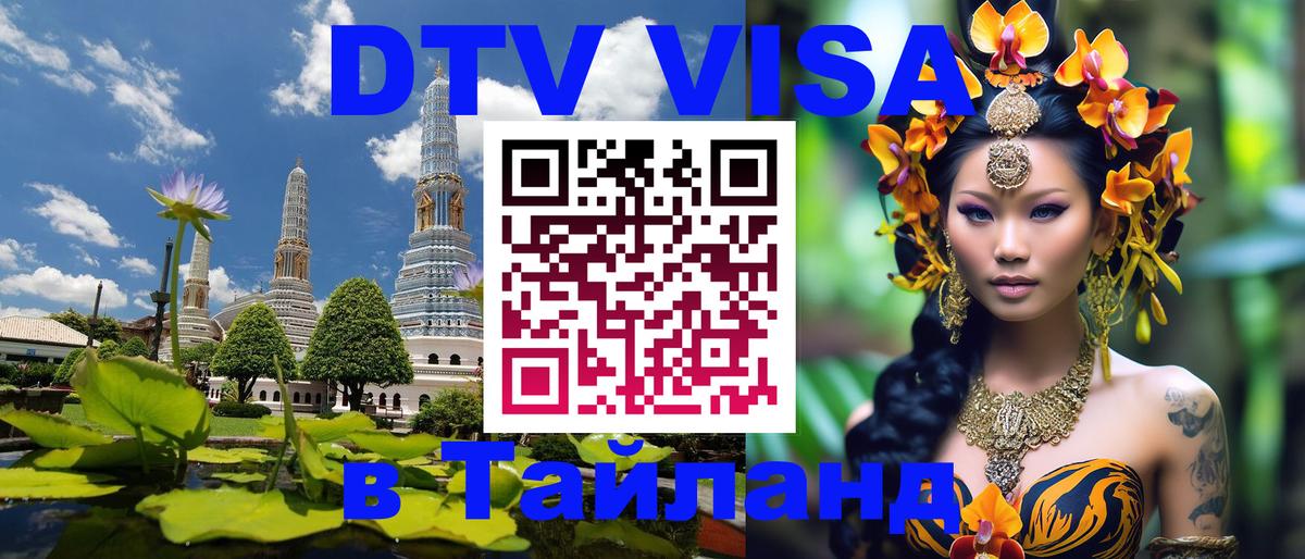 Оформление DTV визы под ключ: стоимость и тарифы, только загранпаспорт - 19.11.2025 